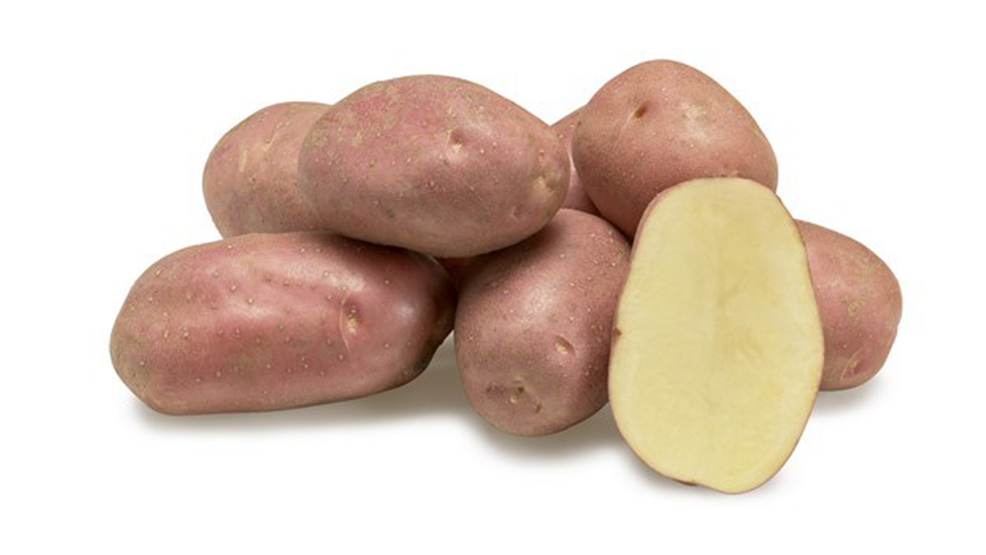 Pakistan Potatoes International Food & Agriculture Exhibition