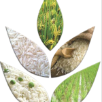 90-EAST_RICE_COMPANY_PVT_LTD